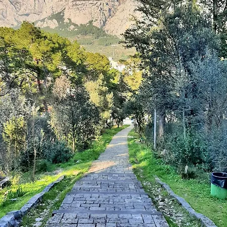 Laura - Center Makarska
