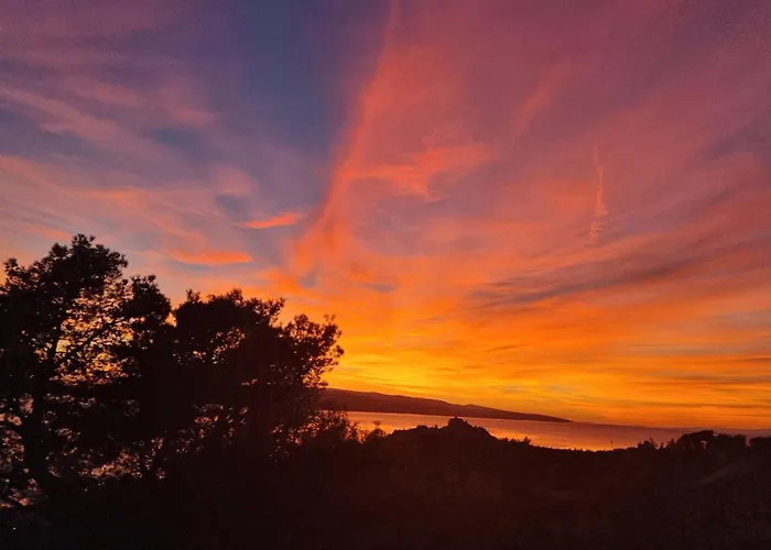 Laura - Center Makarska